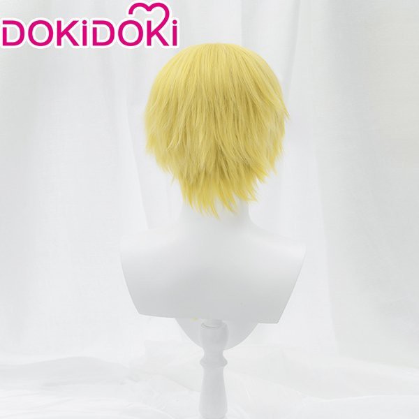 One Piece Wig